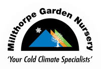 Millthorpe Garden Nursery 