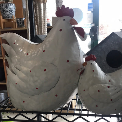pair of chickens, garden chook, chicken